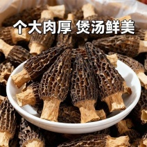 【产地直发】精选头茬新货羊肚菌原产地干货直发