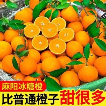 【一件代发全网低价】麻阳冰糖橙暴甜橙子直播团购