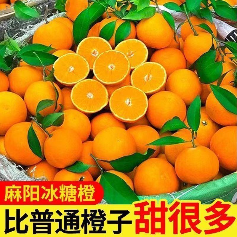 【一件代发全网低价】麻阳冰糖橙暴甜橙子直播团购