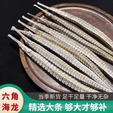 六角海龙海龙干金海龙中药材泡酒料新货足干大量批发