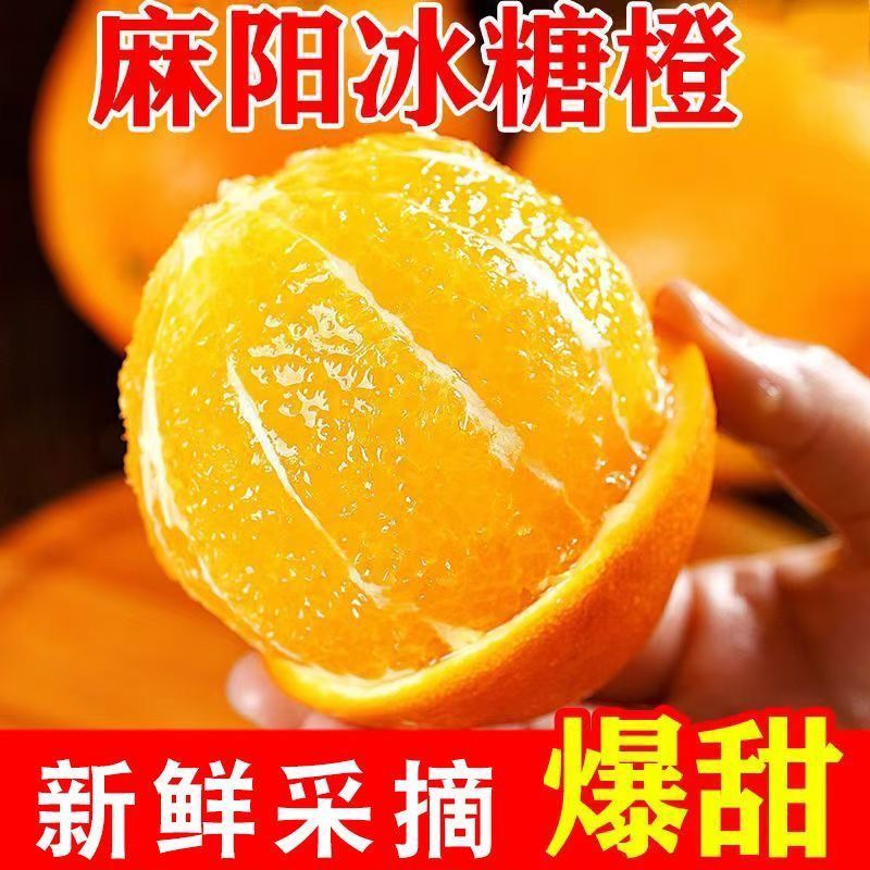 【一件代发全网低价】麻阳冰糖橙暴甜橙子直播团购