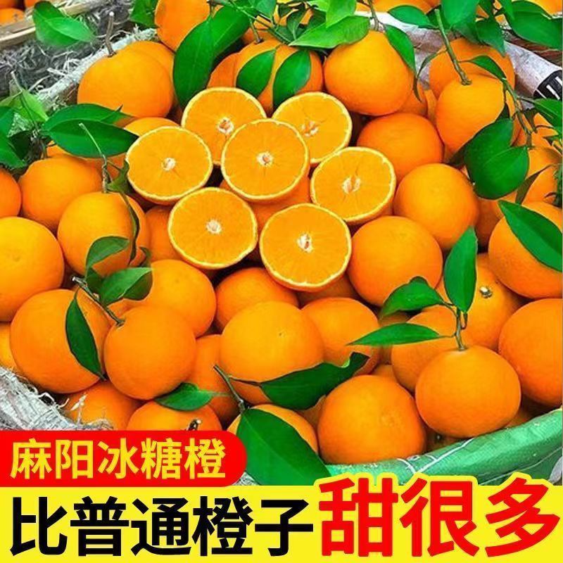 【一件代发全网低价】麻阳冰糖橙暴甜橙子直播团购