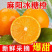 【一件代发全网低价】麻阳冰糖橙暴甜橙子直播团购