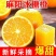【一件代发全网低价】麻阳冰糖橙暴甜橙子直播团购
