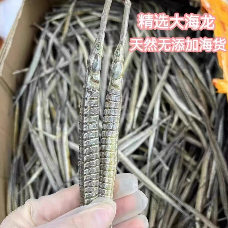 六角海龙海龙干金海龙中药材泡酒料新货足干大量批发