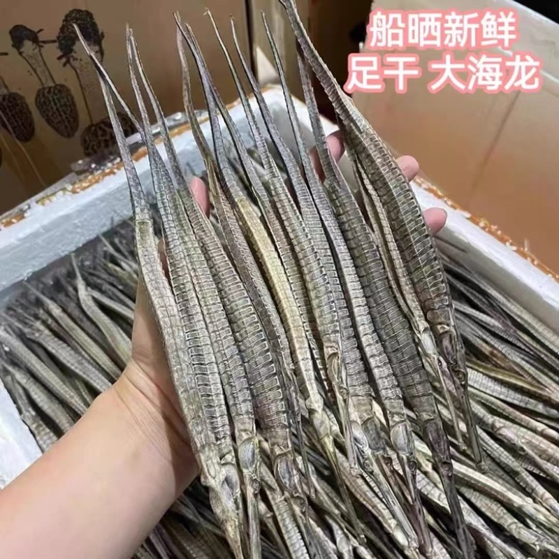 六角海龙海龙干金海龙中药材泡酒料新货足干大量批发