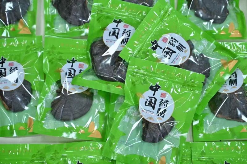 精品灵芝货源充足质量保证对接全国诚信经营欢迎咨询