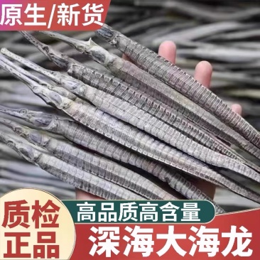 海龙干中药材男性滋补大海龙六角海龙质量优新货