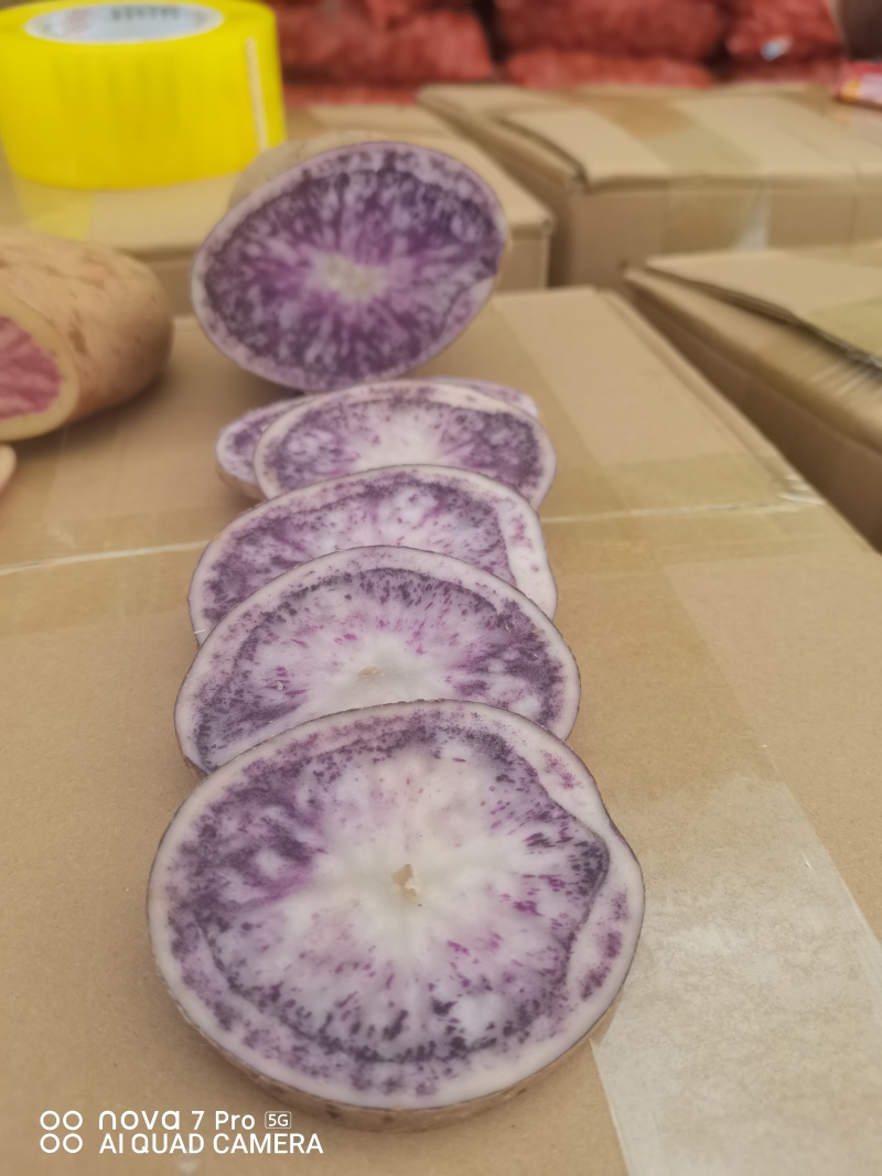 云南七彩土豆