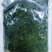 马尾藻鞭炮笋长寿菜原料小包装都可以