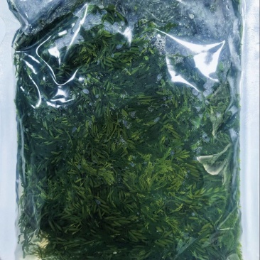 马尾藻鞭炮笋长寿菜原料小包装都可以
