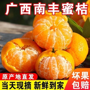 『畅销』广西南丰蜜橘产地直发保质保量售后无忧一条龙服务