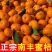 『畅销』广西南丰蜜橘产地直发保质保量售后无忧一条龙服务