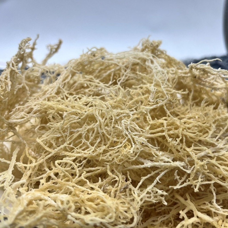 批发龙须菜石花菜优惠速食长寿菜鹿角菜海藻菜凉拌
