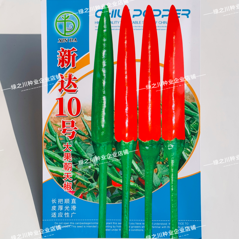 新达10号朝天椒种子特大果中晚熟油亮顺直长把朝天椒种籽