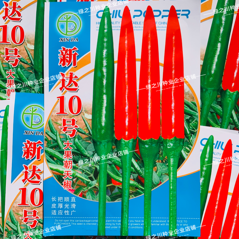 新达10号朝天椒种子特大果中晚熟油亮顺直长把朝天椒种籽