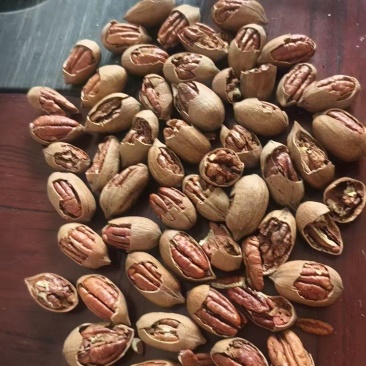 高品质碧根果中歪通货
