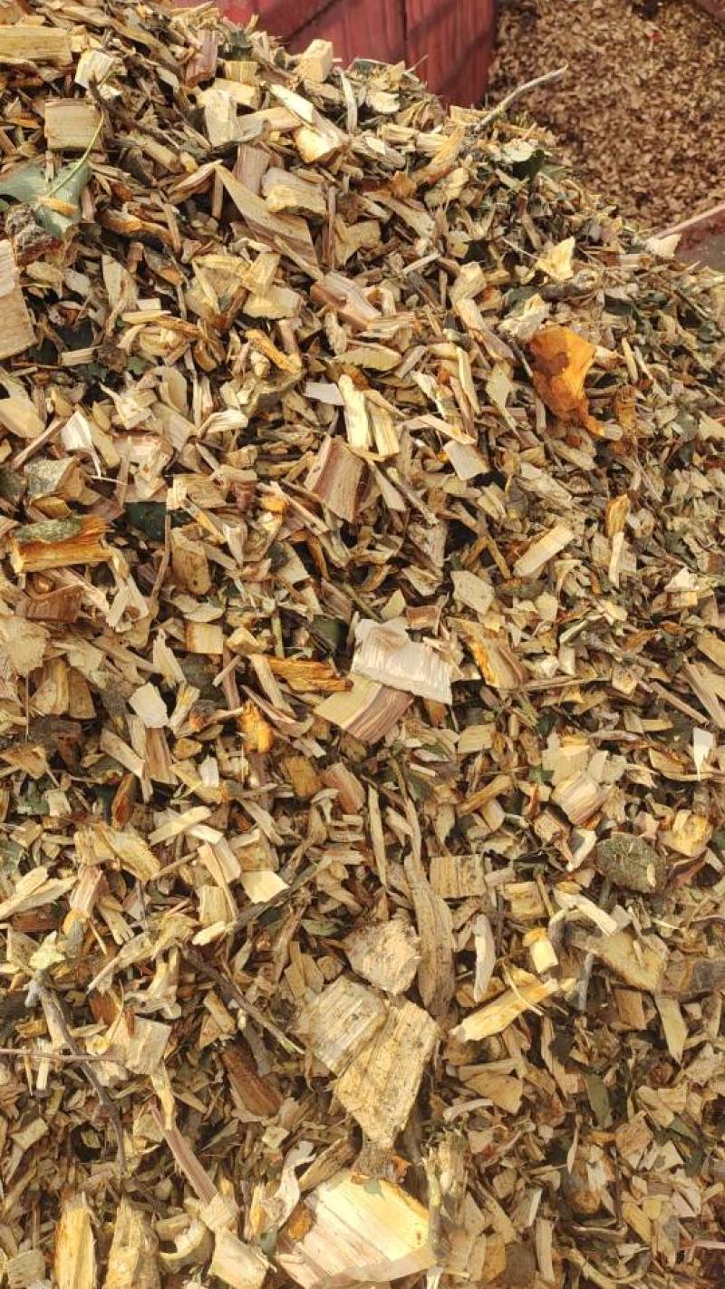 木质粒子和木片供货服务