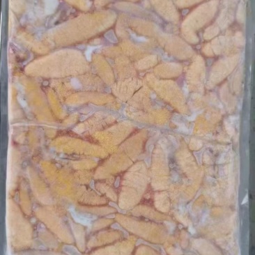 精品鲈鱼籽
