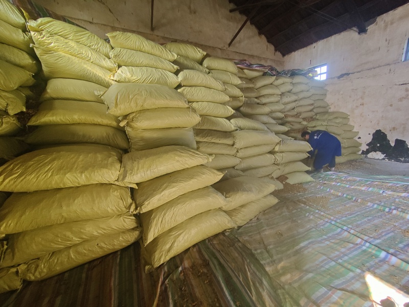 陈皮烘干货药厂投料，统一包装，可直接挂签交厂,欢迎咨询
