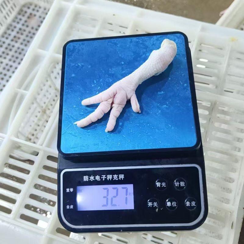 鸡爪