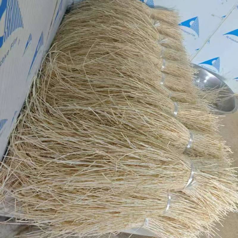 茅根