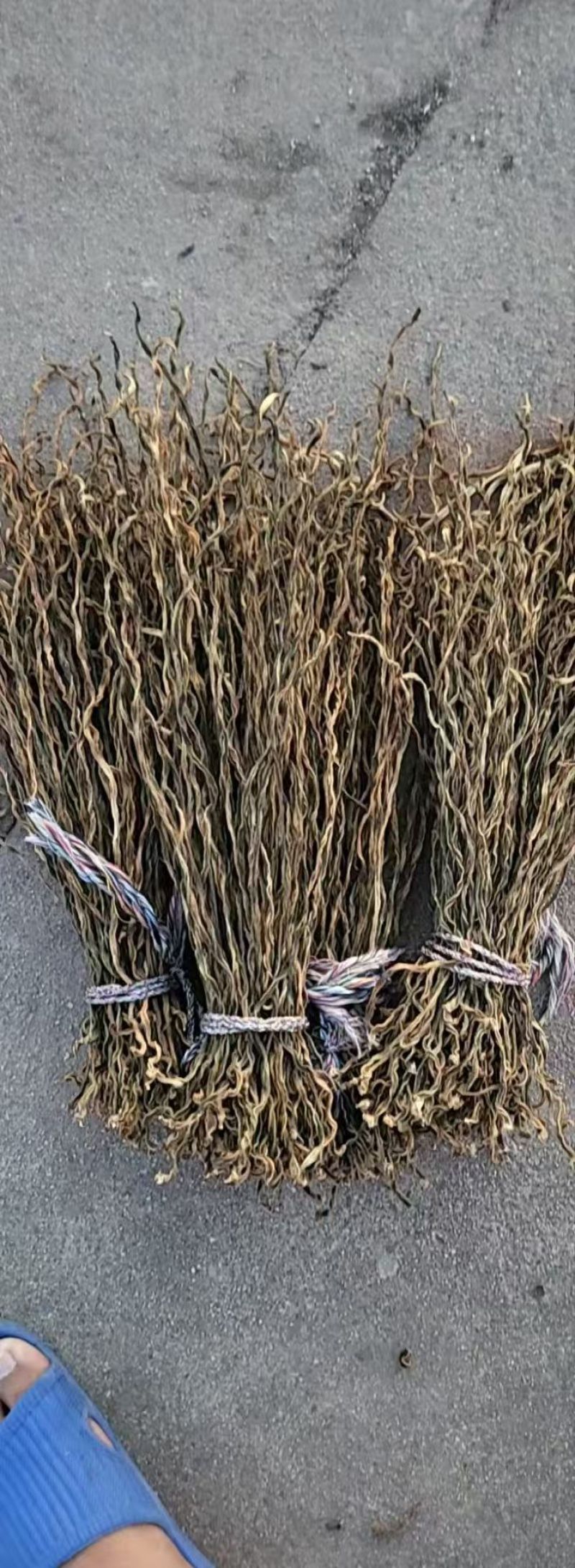 绿条烘干豆角长豆角脱水豆角河南干豆角口感好价格实惠
