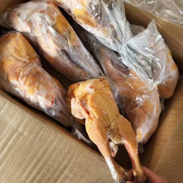 三黄鸡6只装3000件，需要来研究。