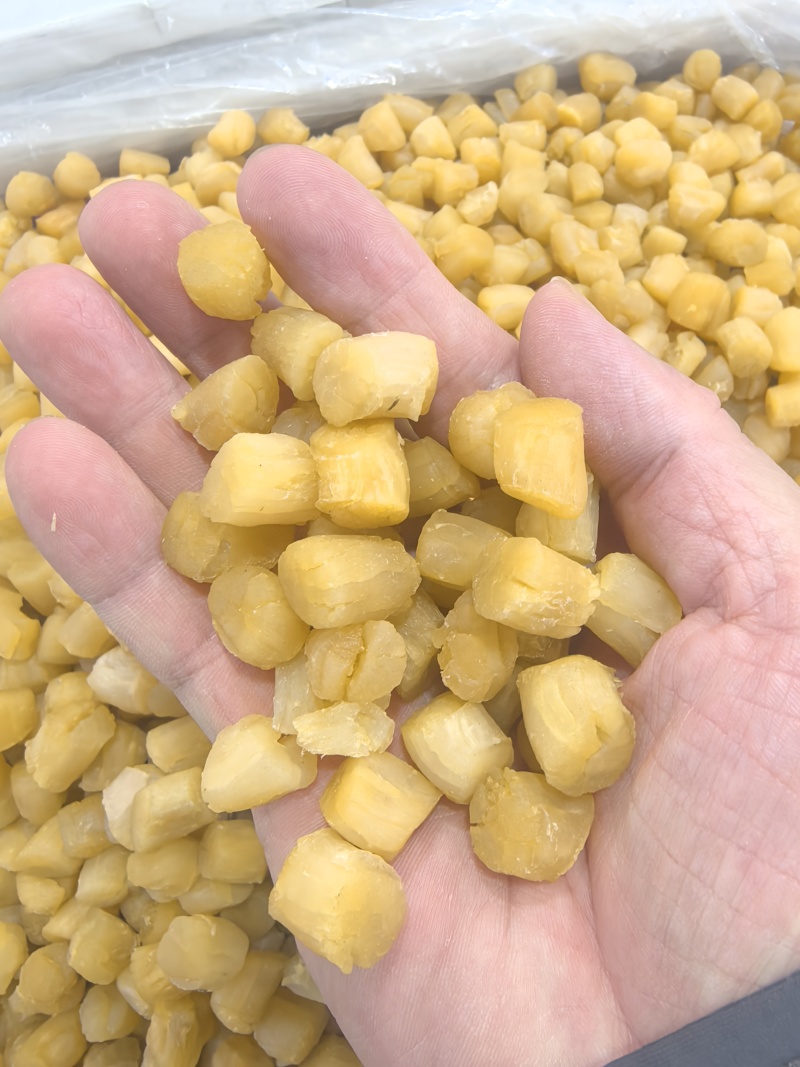 干贝瑶柱干贝肉野生瑶柱干贝干货海鲜元贝扇贝柱江瑶柱特大