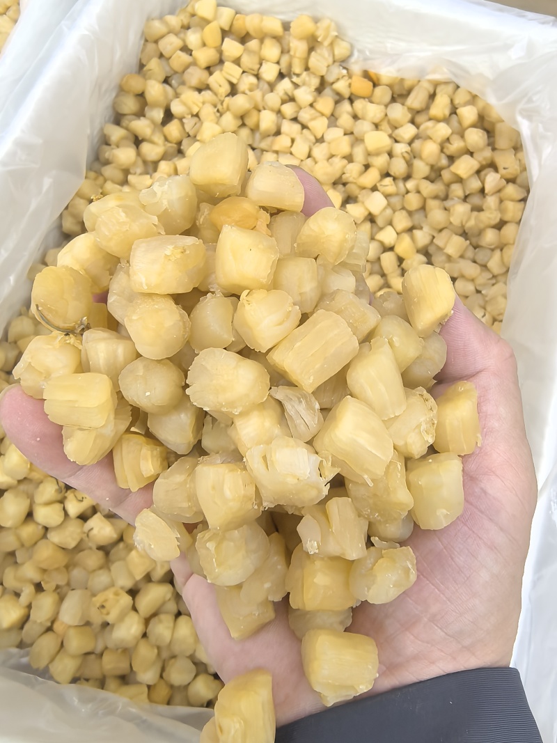 干贝瑶柱干贝肉野生瑶柱干贝干货海鲜元贝扇贝柱江瑶柱特大