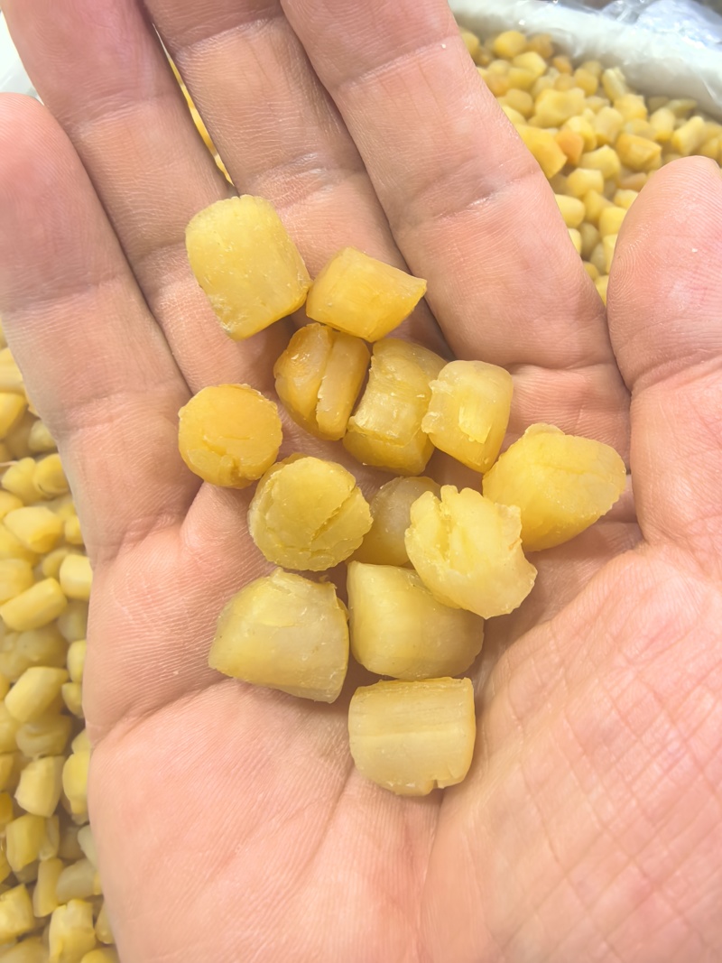 干贝瑶柱干贝肉野生瑶柱干贝干货海鲜元贝扇贝柱江瑶柱特大