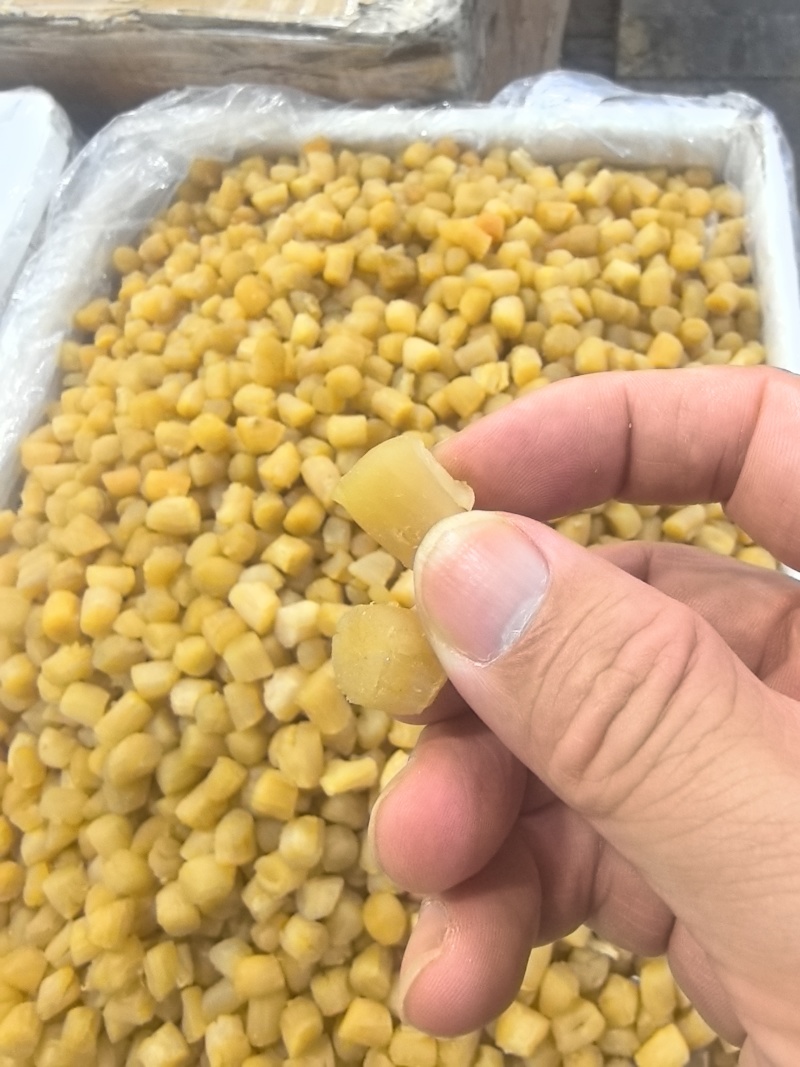 干贝瑶柱干贝肉野生瑶柱干贝干货海鲜元贝扇贝柱江瑶柱特大