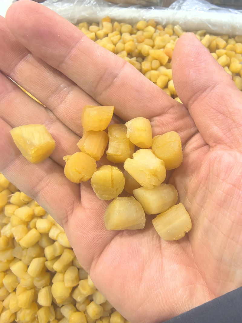 干贝瑶柱干贝肉野生瑶柱干贝干货海鲜元贝扇贝柱江瑶柱特大