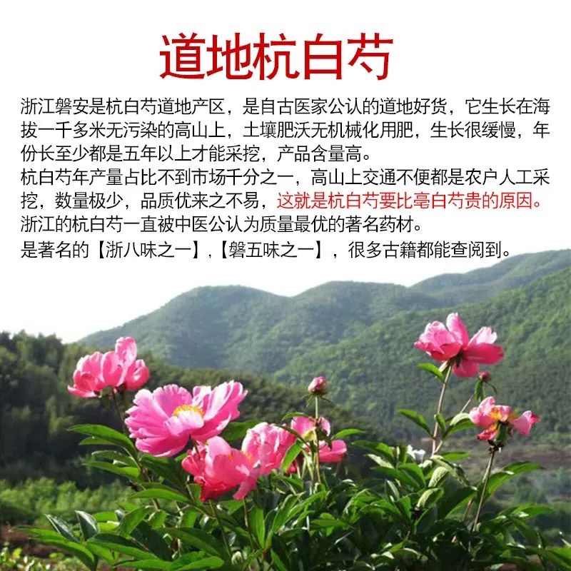 杭白芍真货浙江杭白芍