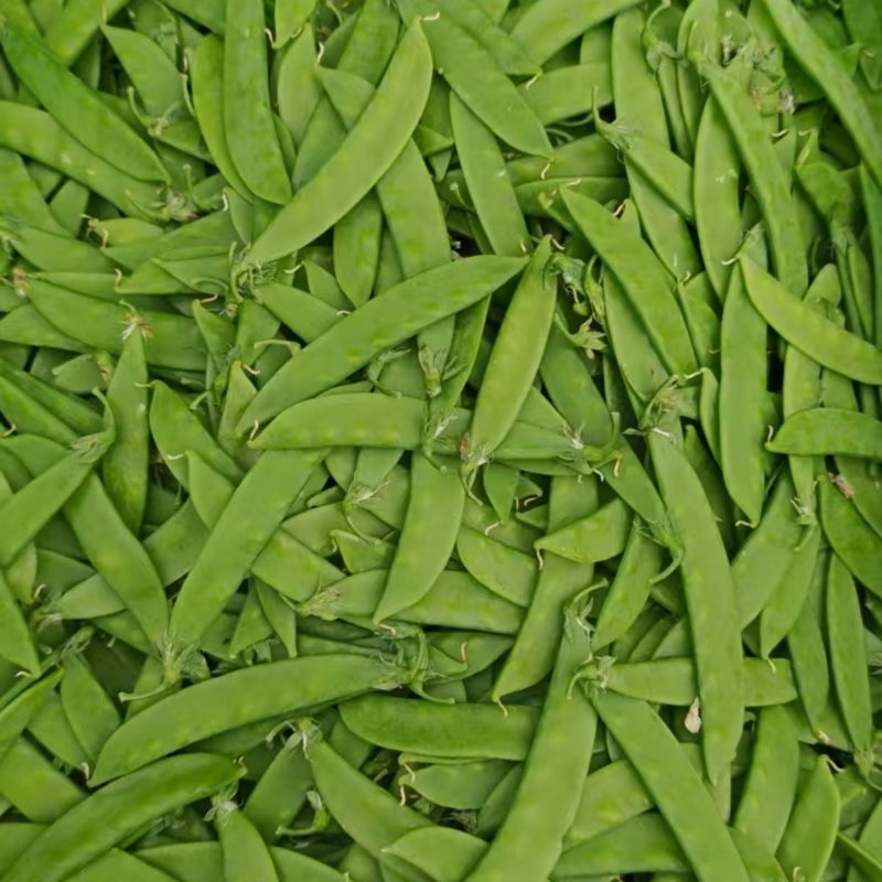 荷兰豆