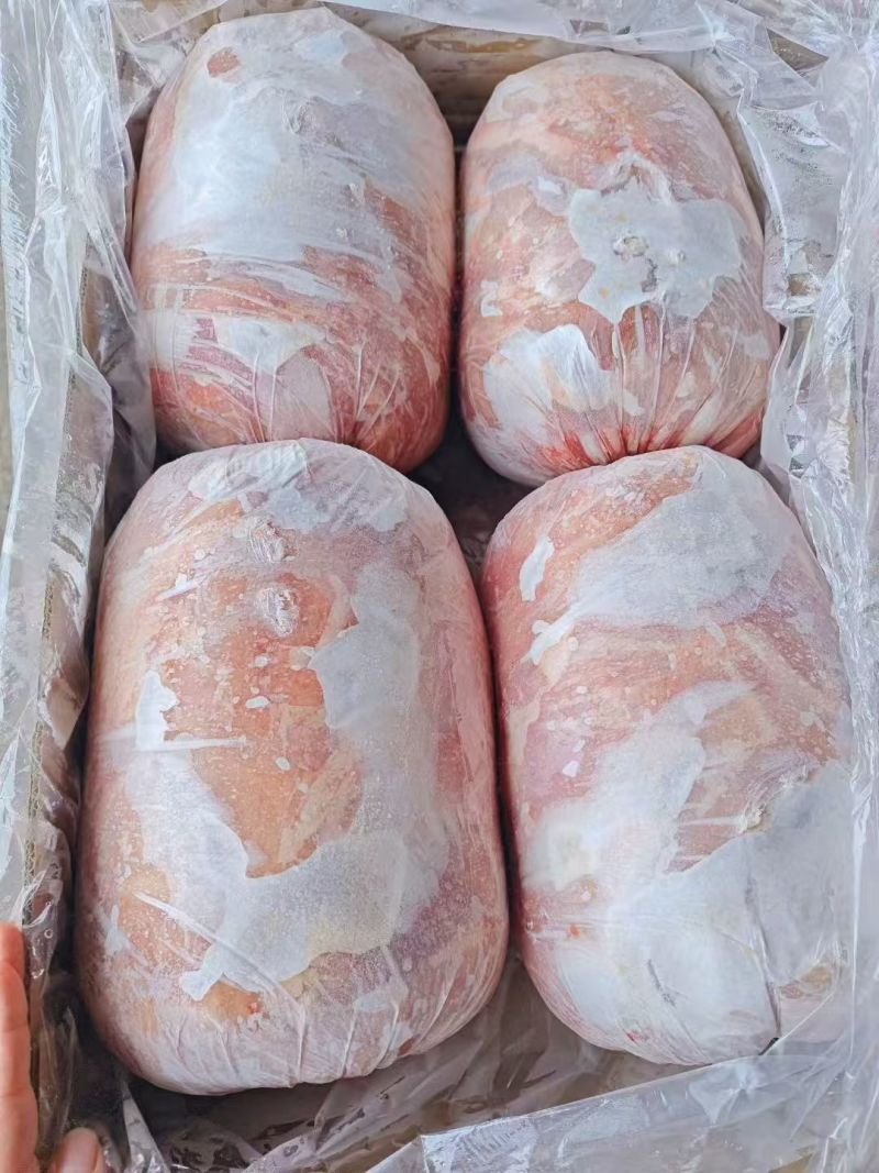肥猪二四号通卷