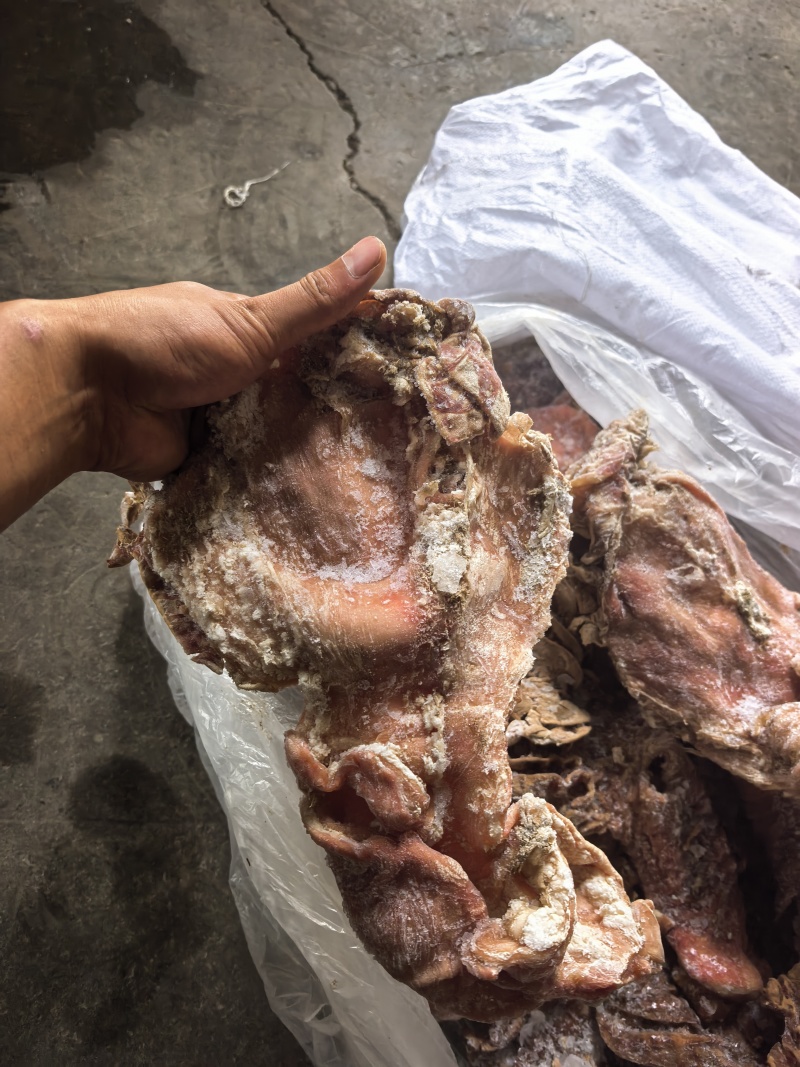牛散带牛伞袋国产纯干牛三袋牛伞肚纯清水煮牛肠