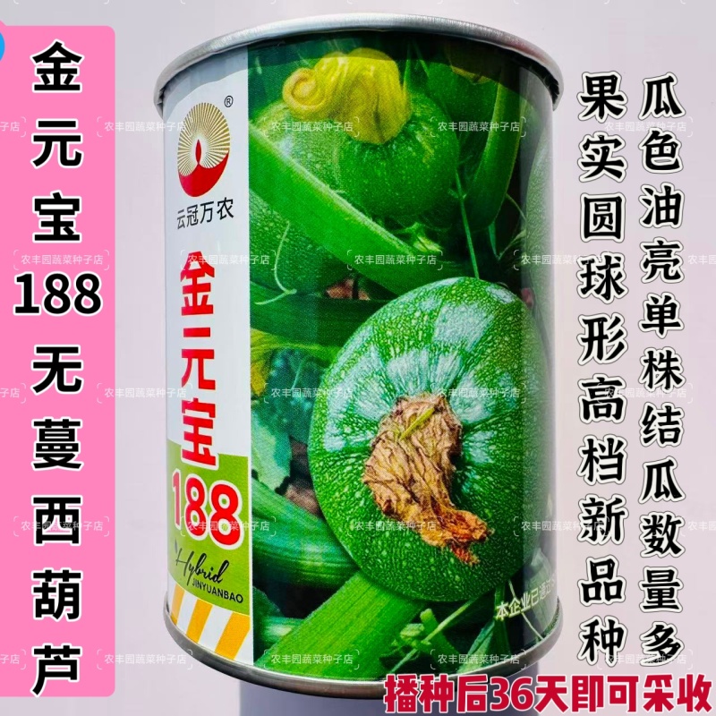 金元宝188高档无蔓圆球形西葫芦种子产量高皮色浅光亮圆葫