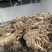 熟羊肉，去皮熟羊肉，带皮熟羊肉，羊肉。。