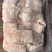 猪天梯猪牙板纯干不带肉，解冻19.5以上