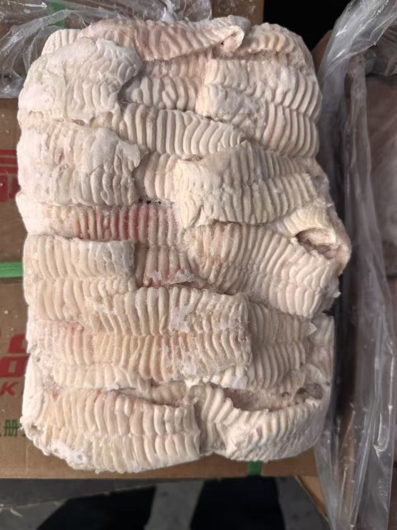 猪天梯猪牙板纯干不带肉，解冻19.5以上