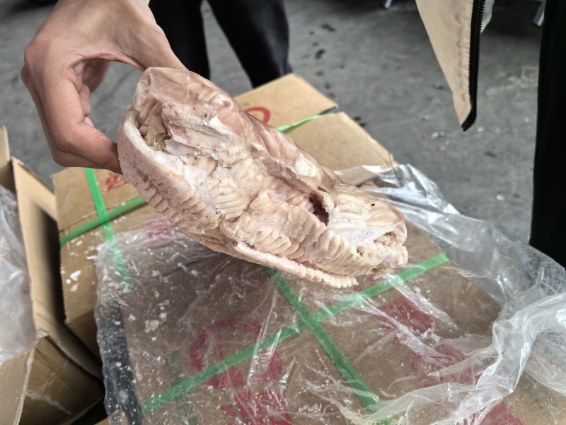猪天梯猪牙板纯干不带肉，解冻19.5以上