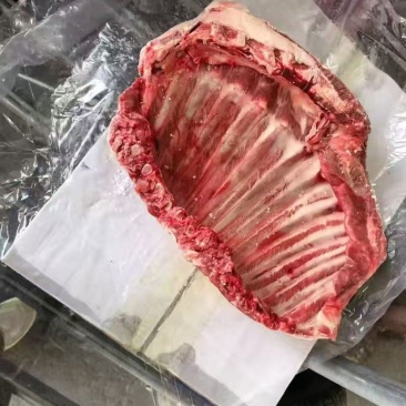 羔羊全排
