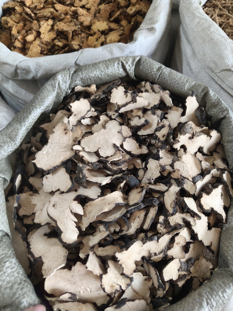 《热销》猪苓（祥泰药材栈）中药材批发零售量多从优