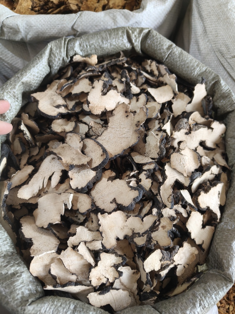 《热销》猪苓（祥泰药材栈）中药材批发零售量多从优