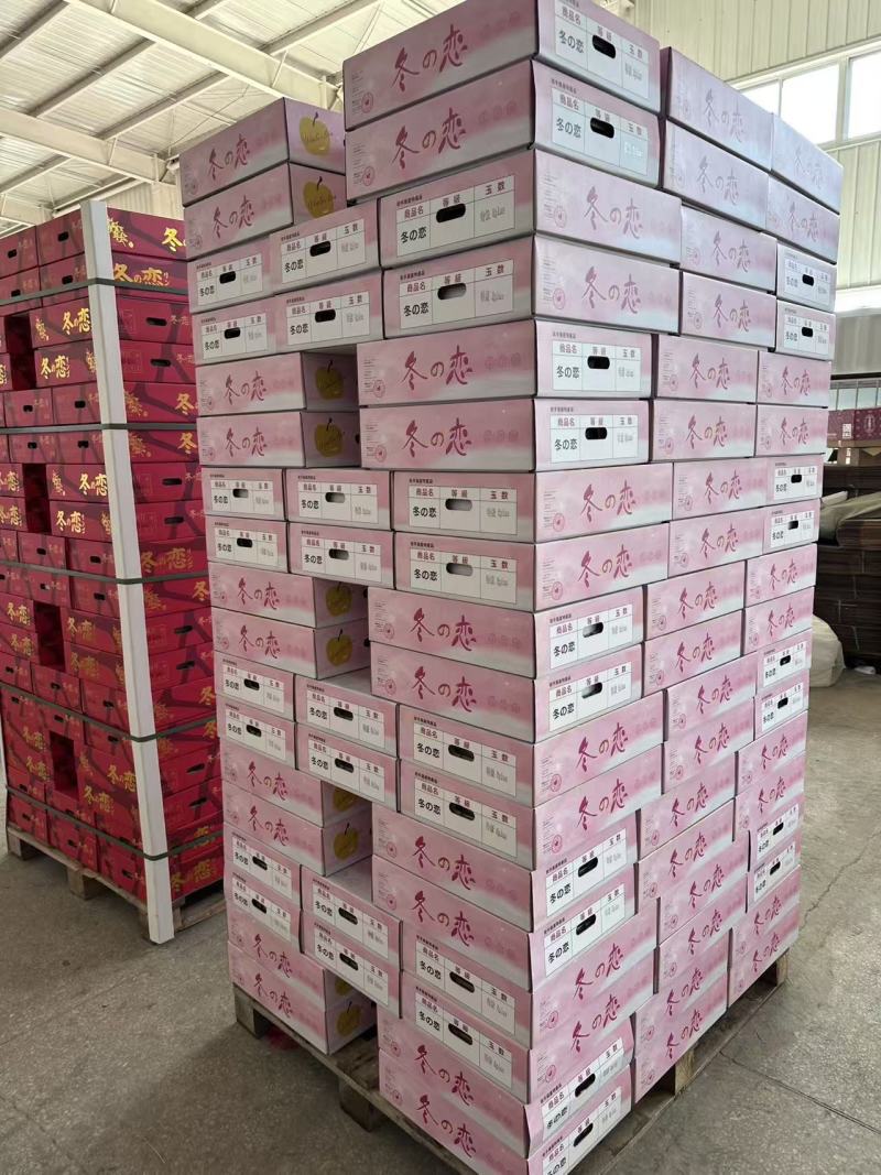 山东烟台黄金维纳斯苹果脆甜可口价格美丽一件代发量大从优