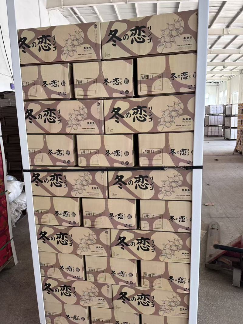 山东烟台黄金维纳斯苹果脆甜可口价格美丽一件代发量大从优