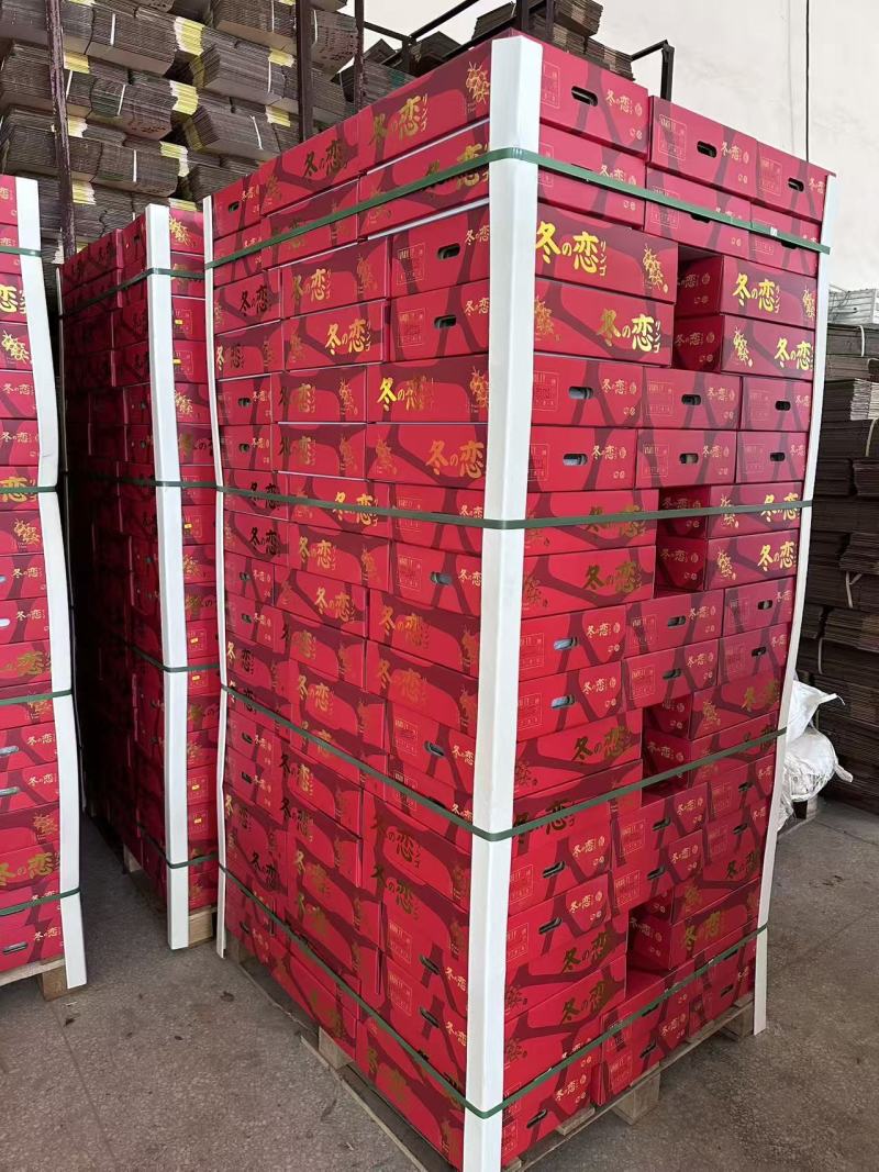 山东烟台黄金维纳斯苹果脆甜可口价格美丽一件代发量大从优