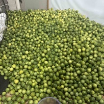百香果