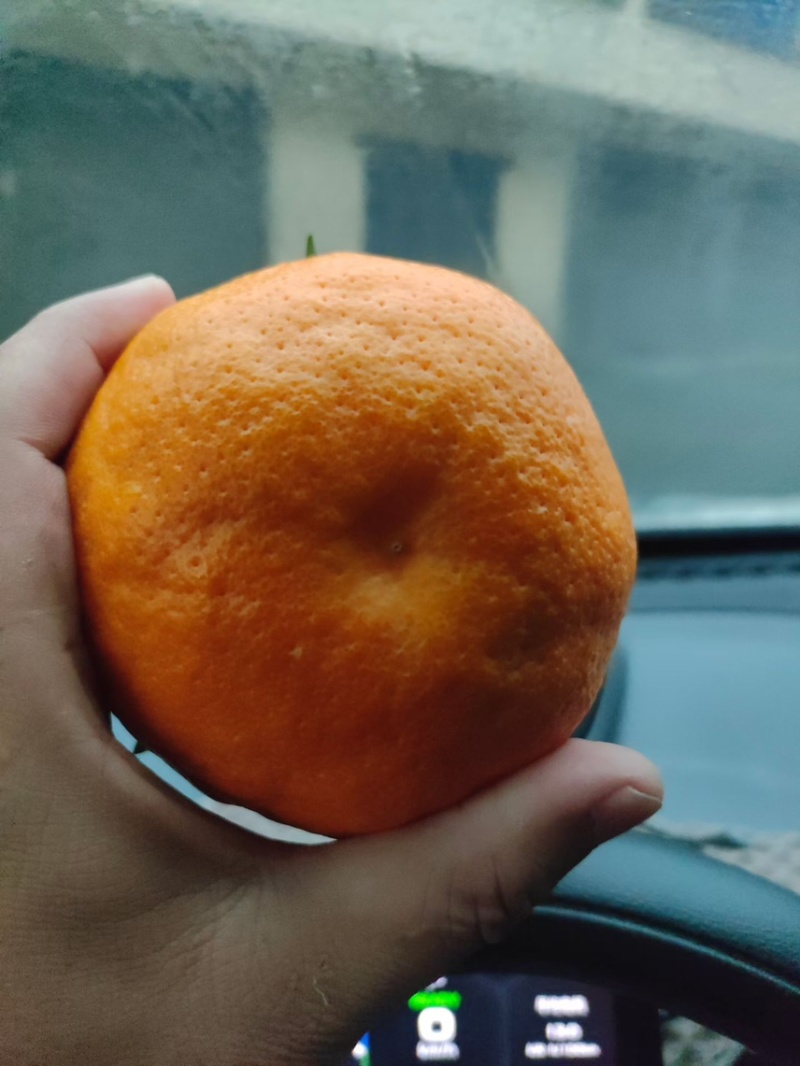 春见耙耙柑全国发货承接商超电商平台